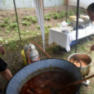 90 éves a Cegléd Városi Sportuszoda