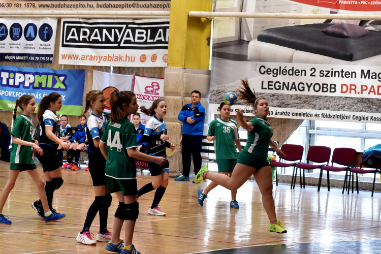 Ceglédi Kék Cápák – Alsónémedi SE