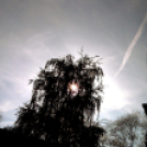 Halló Cegléd! - itt-ott