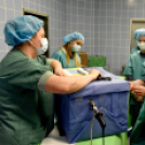 Nyílt nap a Toldy Ferenc Kórházban 