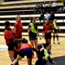 Ceglédi Kék Cápák – Dunavarsányi TE 