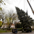 Megérkezett a város karácsonyfája