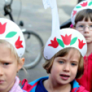 XIX. Kossuth Toborzó - péntek