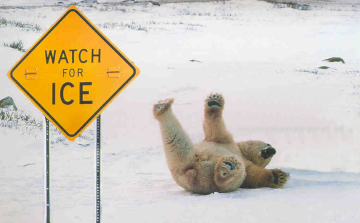 FIGYELEM! Ma még bárkivel megeshet, hogy eleshet 