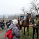 Vadak karácsonya Nyársapáton