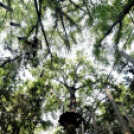 Református nevelőszülők találkoztak Cegléden