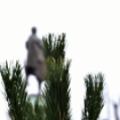 Karácsonyfa díszítő verseny