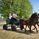 Ahol még a lovak is asztalhoz ülnek...