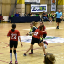 Ceglédi Kék Cápák – Kecskeméti Sportiskola