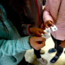 RENDŐRSÉGI NYÍLT NAP