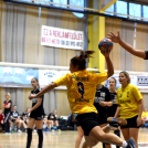 Ceglédi Kék Cápák - Fehérvár KC II. 22 - 28 ( 12 - 14 )