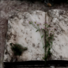 ,,Tudom e mérni a mérhetetlent’’