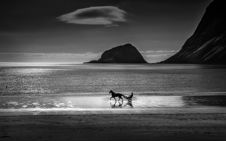 A legeredményesebb Ügető