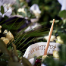 Végső búcsú Kármán Sándortól