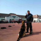 ,,Pindur-Pandúr'' - Közlekedésbiztonsági vetélkedő a Táncsicsban