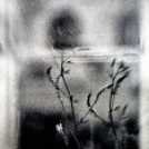 Fotóművészek kiállítás megnyitója