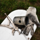 Anyámtyúkja - Csemő