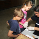 Rendőrségi nyílt nap