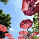 Pöttyös gyermeknap 2019