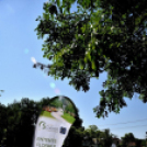 Csemőben is járt a nemzetközi zsűri