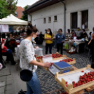 Újra termelői piac az Ordass közben