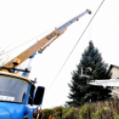 Megérkezett a város karácsonyfája