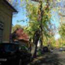 Halló Cegléd - Rákóczi út