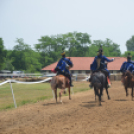 Bor és laskafesztivál - II