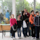 Közlekedési vetélkedő