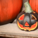 Családi tökfaragás - Oázis Kertészeti Áruház