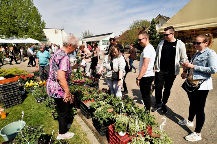 Virágvásár és főzőverseny Csemőben
