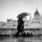 MAFOSZ kiállítás képei