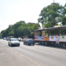 Bor és laskafesztivál - I