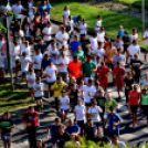 Megyei futó- és gyalogló nap