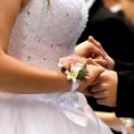 Gimnázium szalagavató főpróba