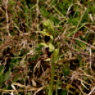 Karanténséta a Gerje parton