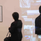 Dánia magyar szemmel