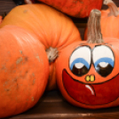 Családi tökfaragás - Oázis Kertészeti Áruház