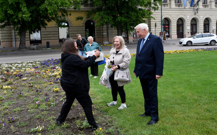 Ments meg egy árvácskát!