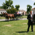 IX. Bor és Laskafesztivál - IV. Ceglédi Vágta