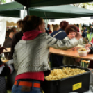 Anyámtyúkja - Csemő