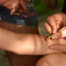 Nyitott Pince Napok - Kökény és Fia Családi Borászat