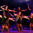 Tánc világnapja Cegléden