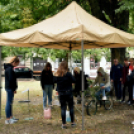 Autómentes nap Cegléden