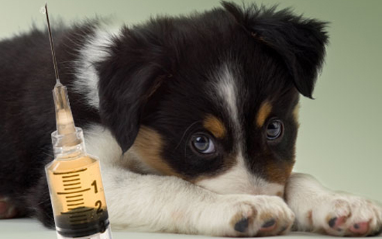 Eboltásról - pontosan