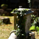 Gyászistentisztelet a temetőben