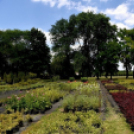 Csemőben is járt a nemzetközi zsűri