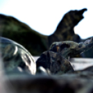 Hősök napja Cegléden