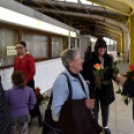 Városi nőnap - fotó: Kisfaludi István 