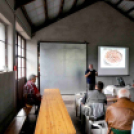 Csemői kerekasztal beszélgetés a szilváról